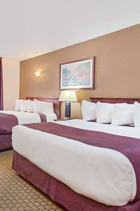 Hotel Ramada Red Deer photo 3