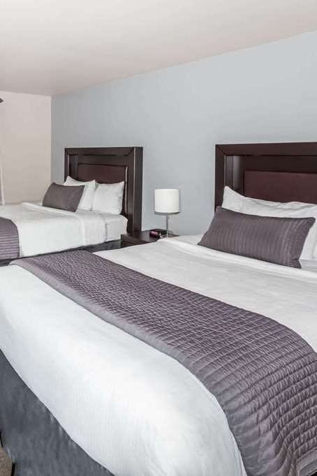 Hotel Baymont by Wyndham Glenview photo 2