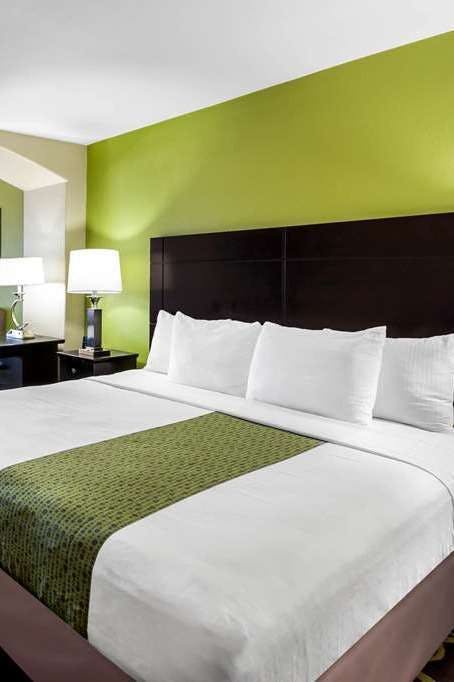 Hotel La Quinta Inn Ste New Braunfel photo 1