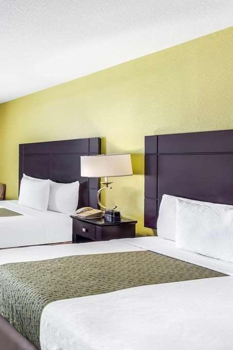 Hotel La Quinta Inn Ste New Braunfel photo 2