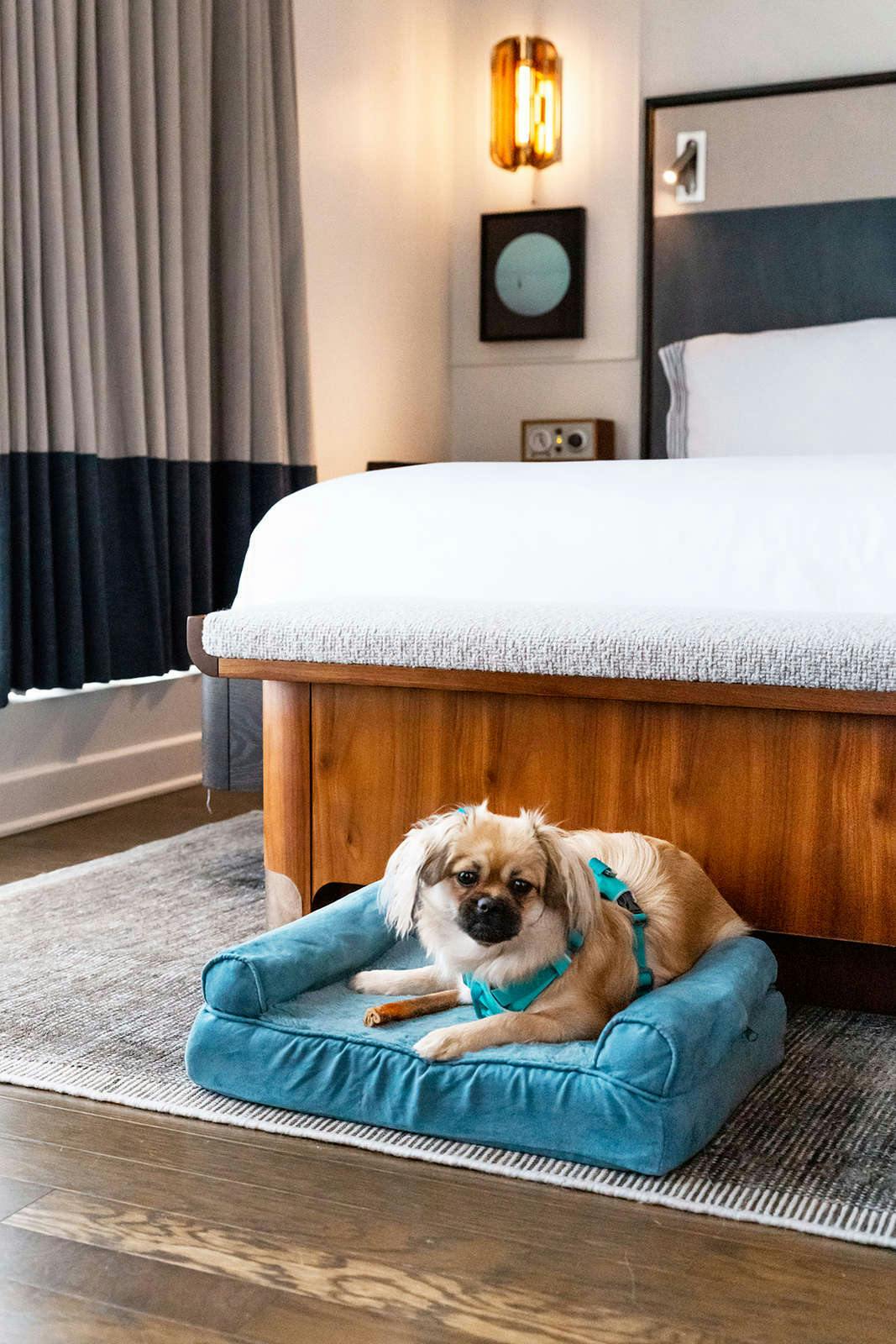 Hotel Thompson Washington DC photo 1