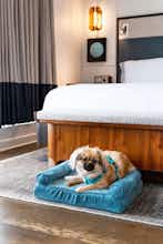 Hotel Thompson Washington DC photo 1