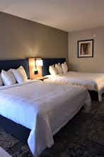 Hotel Baymont by Wyndham Pine Grove I-81 photo 2
