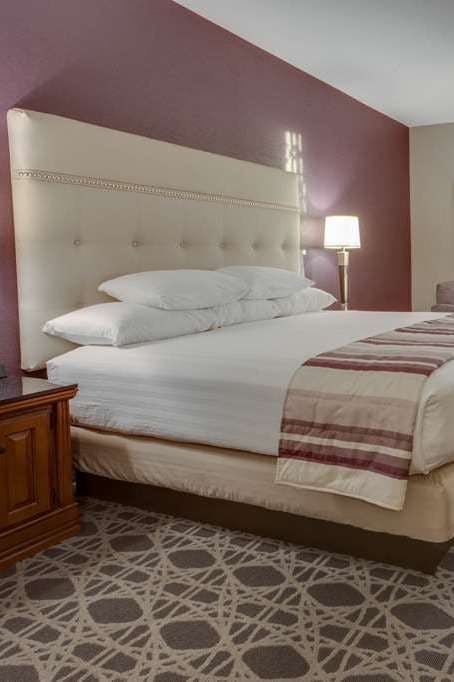 Hotel Drury Inn and Suites Las Cruces photo 2