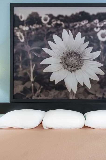 Hotel Super 8 by Wyndham Thurmont photo 2