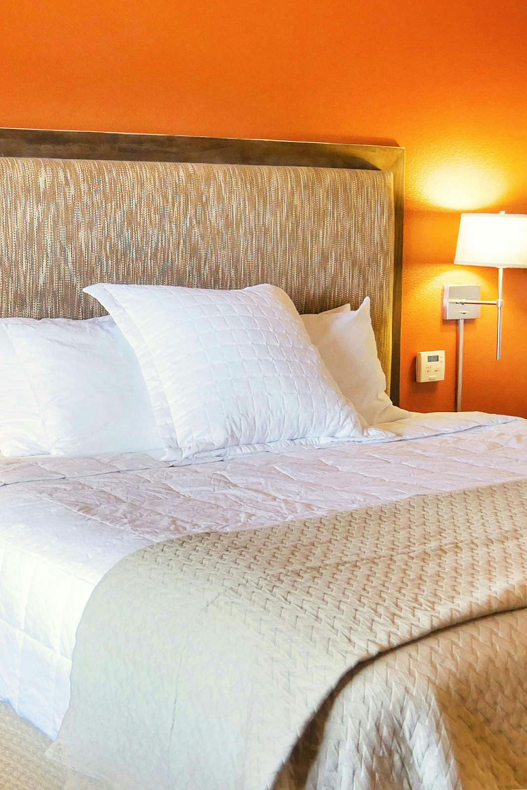 Hotel Red Mountain Resort photo 1