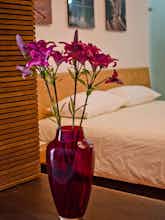 Hotel Hotel Azul Oaxaca photo 1