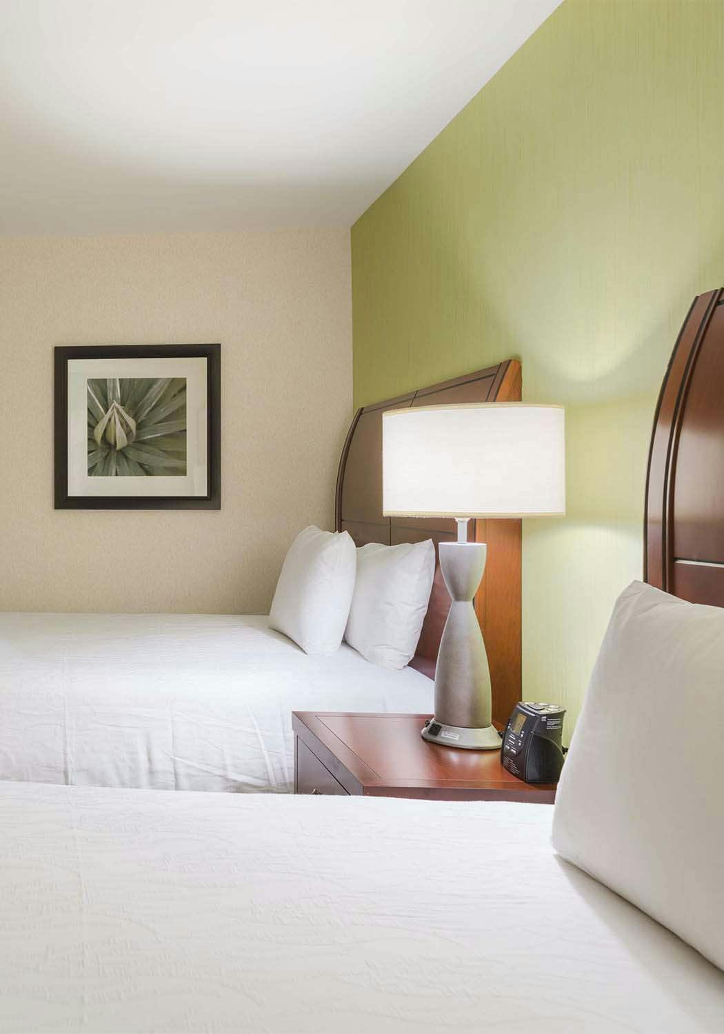 Hilton Garden Inn Queens Jfk Airport New York City Jfk