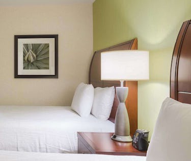 Hilton Garden Inn Queens Jfk Airport New York City Jfk