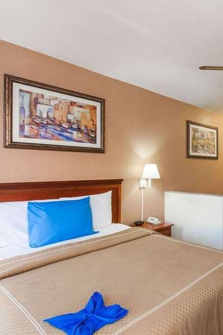 Hotel Days Inn & Suites by Wyndham NASA Space Center Houston photo 3