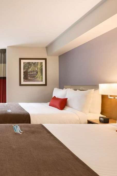 Hotel Microtel Inn & Suites by Wyndham Ladysmith Oyster Bay photo 1