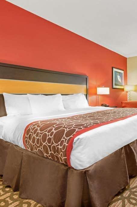 Hotel La Quinta Inn & Suites by Wyndham Leesville Ft. Polk photo 2