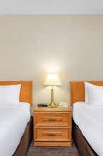 Hotel Travelodge by Wyndham Bridgewater photo 3