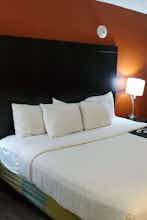 Hotel La Quinta Inn by Wyndham Tampa Near Busch Gardens photo 4