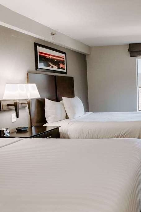 Hotel Wingate by Wyndham Chantilly / Dulles Airport photo 2