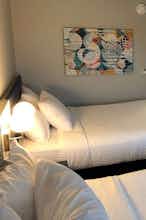 Hotel Microtel Inn & Suites by Wyndham Hot Springs photo 2