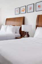 Hotel Hilton Garden Inn Orlando at SeaWorld photo 2