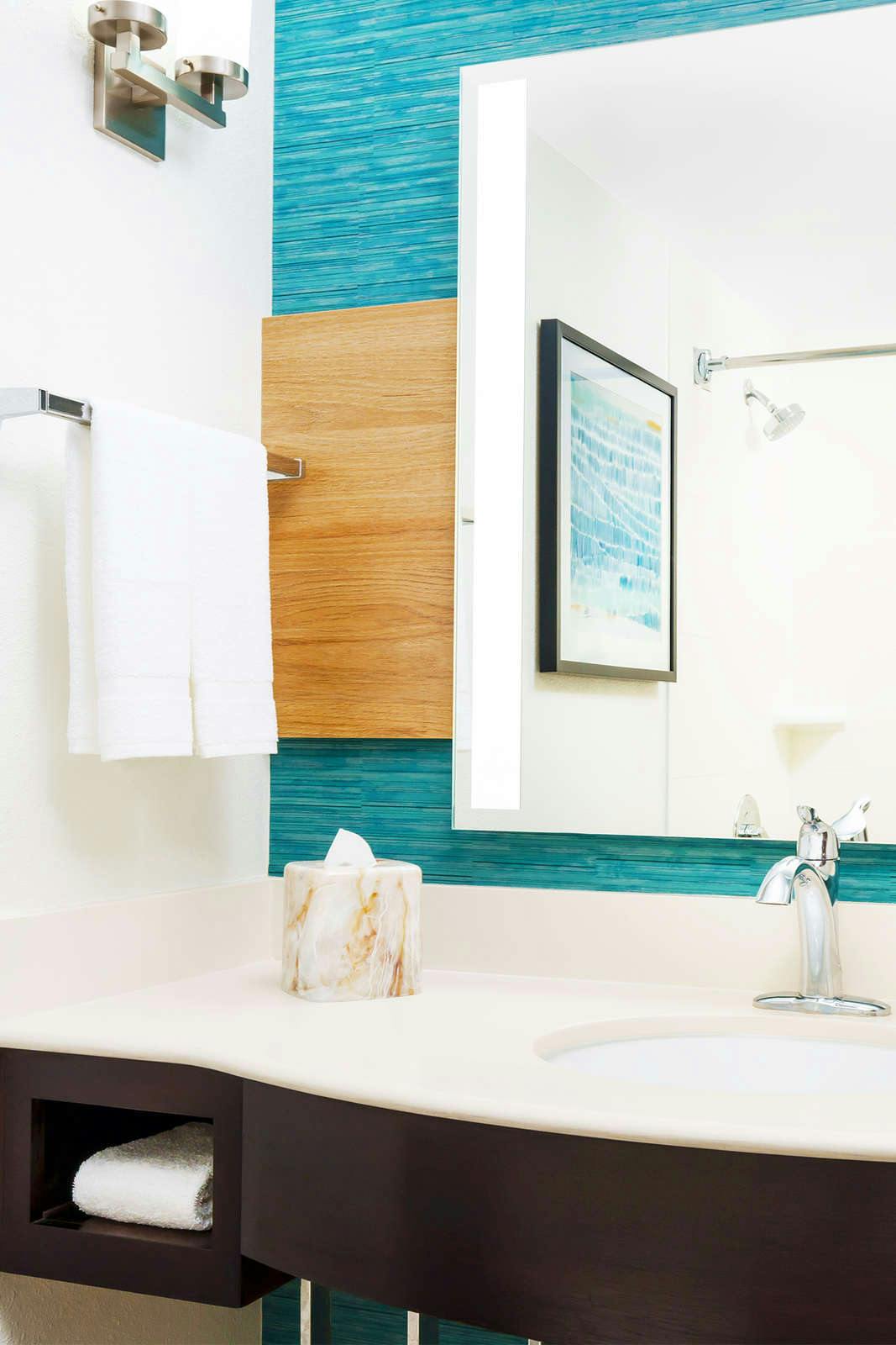 Hotel Hilton Garden Inn Orlando at SeaWorld photo 4