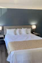 Hotel Travelodge by Wyndham Pigeon Forge Dollywood Lane photo 3