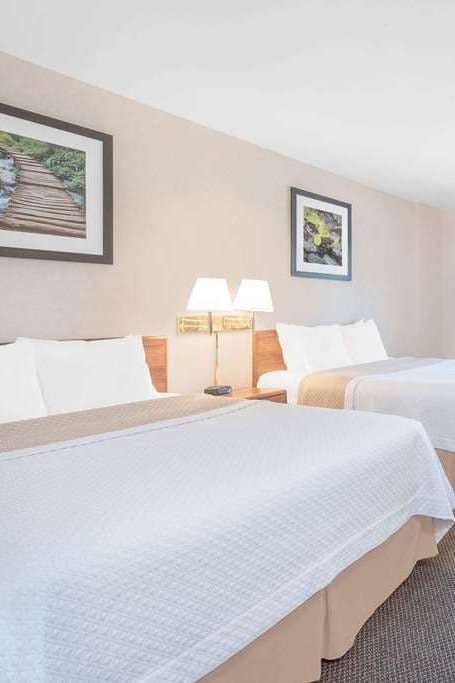 Hotel Days Inn by Wyndham West Rapid City photo 3