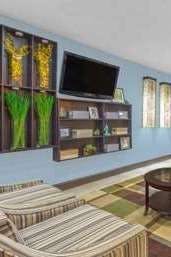 Hotel Microtel Inn & Suites by Wyndham Greenville / Woodruff Rd photo 3