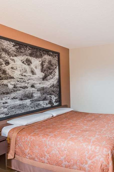 Hotel Super 8 by Wyndham Madison photo 3