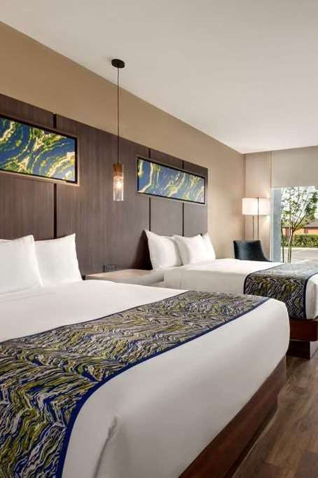 Hotel La Quinta Inn & Suites by Wyndham Orlando IDrive Theme Parks photo 2