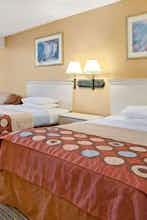 Hotel Super 8 by Wyndham Clearwater/St. Petersburg Airport photo 2