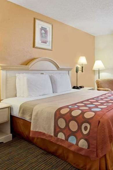 Hotel Super 8 by Wyndham Clearwater/St. Petersburg Airport photo 1