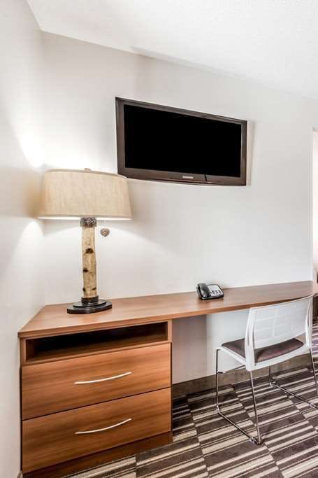 Hotel Microtel Inn & Suites by Wyndham Victor/Rochester photo 4