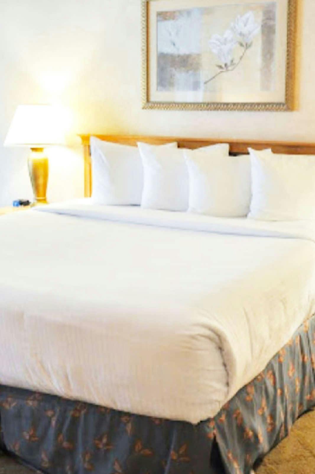 Hotel Piccadilly Inn Airport photo 1