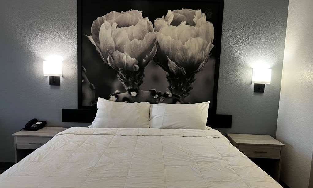 Super 8 by Wyndham Rosenberg TX