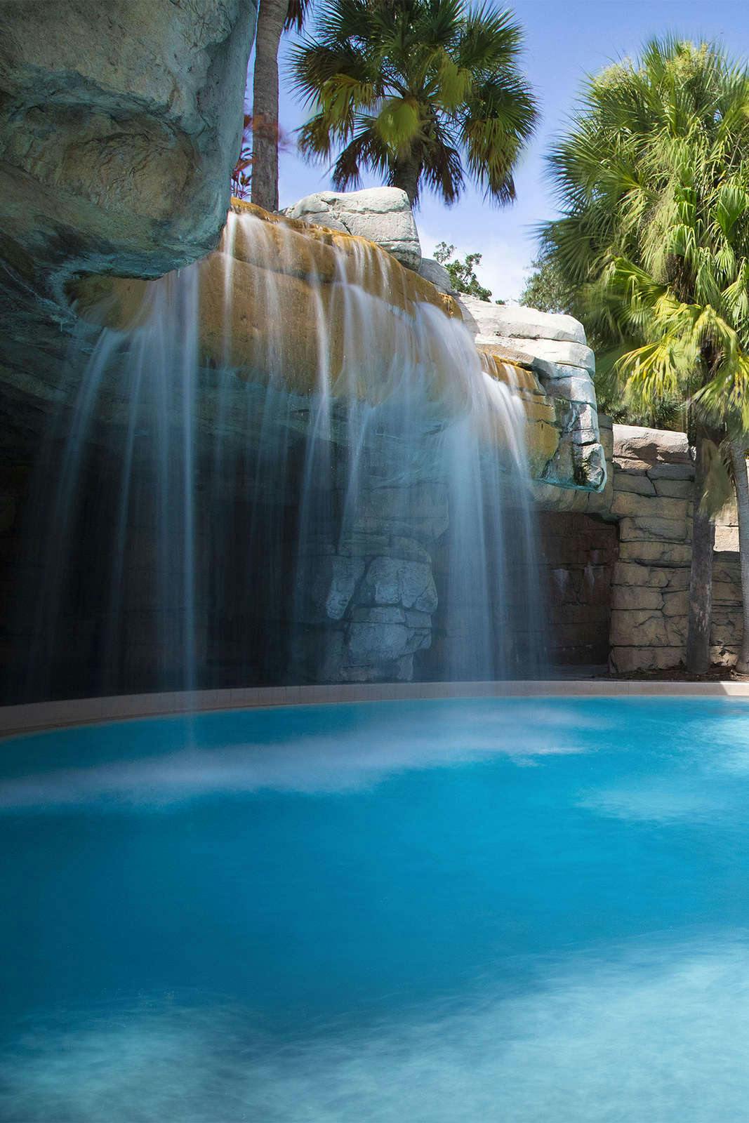 Hotel Delta Hotels by Marriott Orlando Celebration photo 4