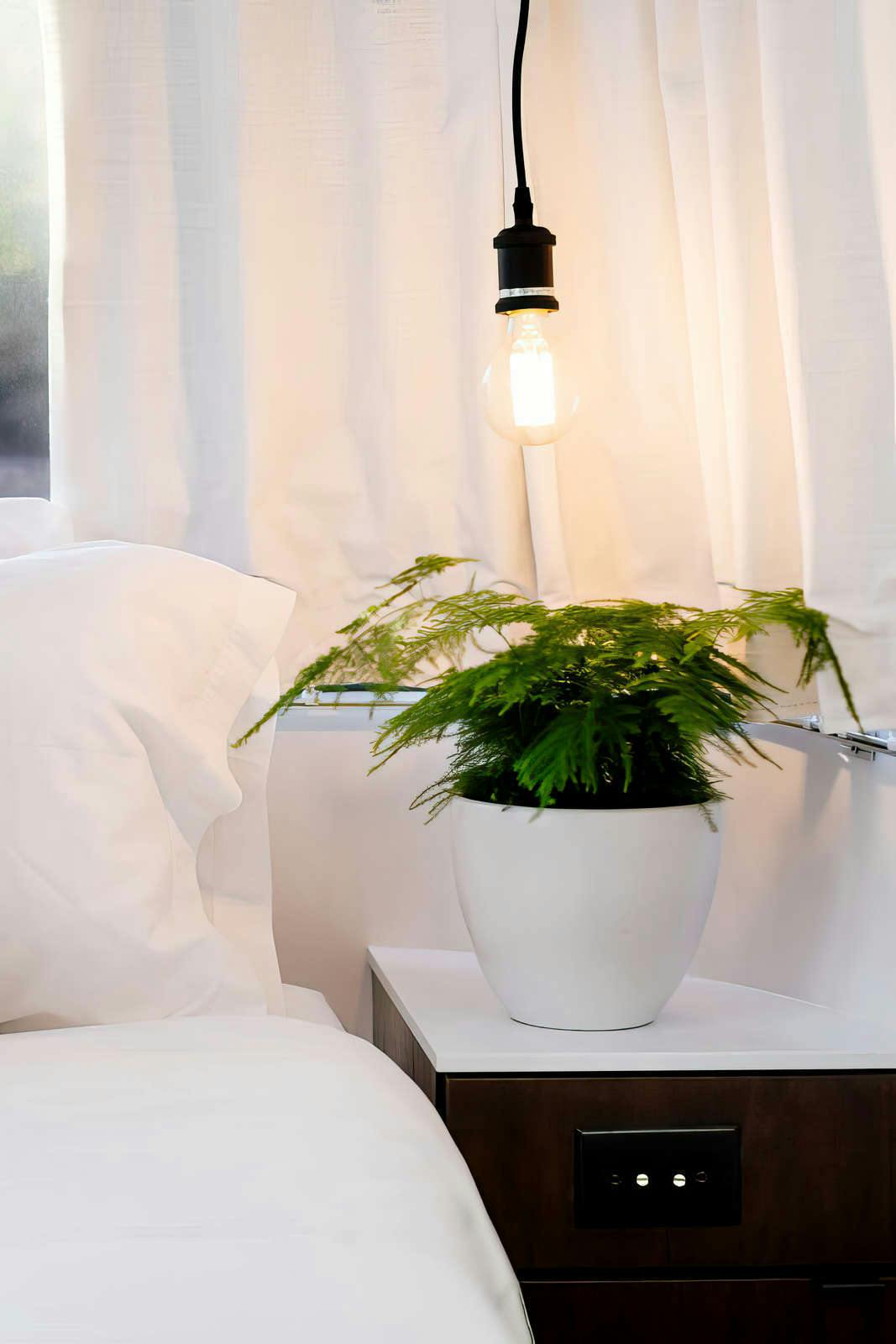 Hotel AutoCamp Yosemite photo 5