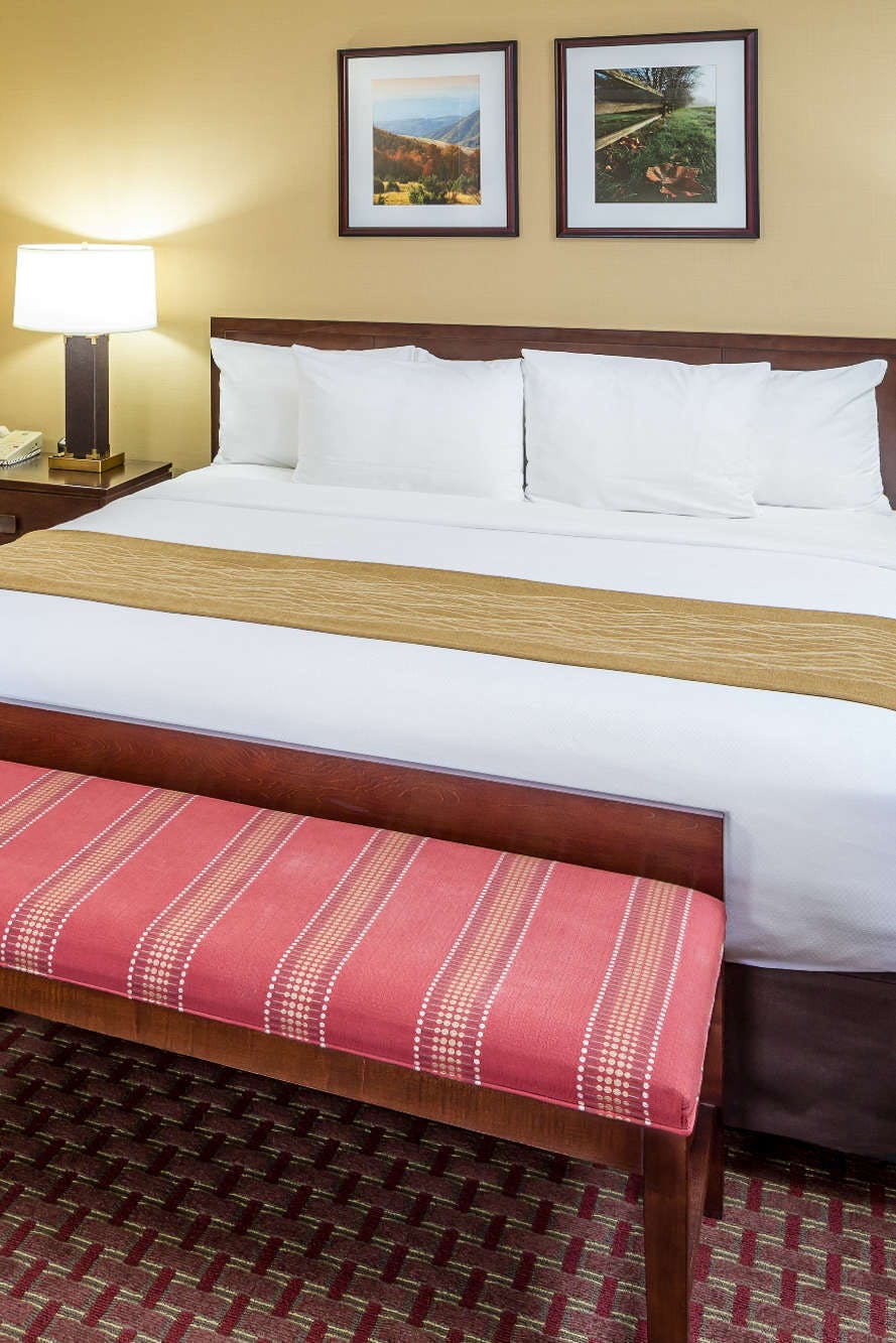 Hotel Comfort Inn & Suites Near Burke Mountain photo 1