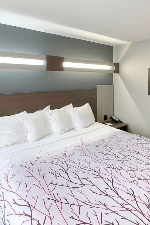 Hotel Sure Stay Plus Hotel By Best Western Sevierville photo 1