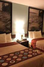 Hotel Super 8 Plover photo 3