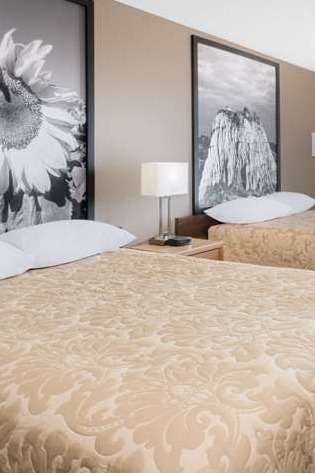 Hotel Super 8 by Wyndham Bowman photo 1