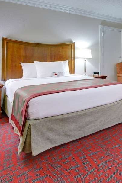 Hotel Ramada by Wyndham Metairie New Orleans Airport photo 2