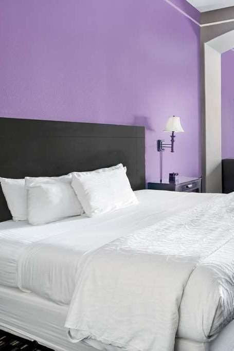 Hotel La Quinta Inn Ste Alamo E photo 1