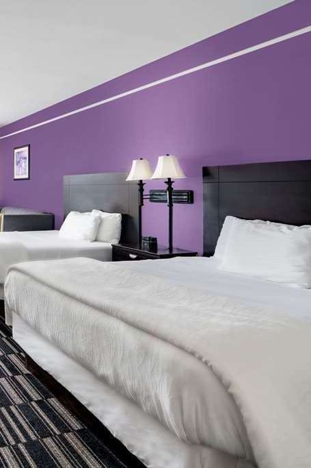 Hotel La Quinta Inn Ste Alamo E photo 2