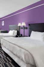 Hotel La Quinta Inn Ste Alamo E photo 2