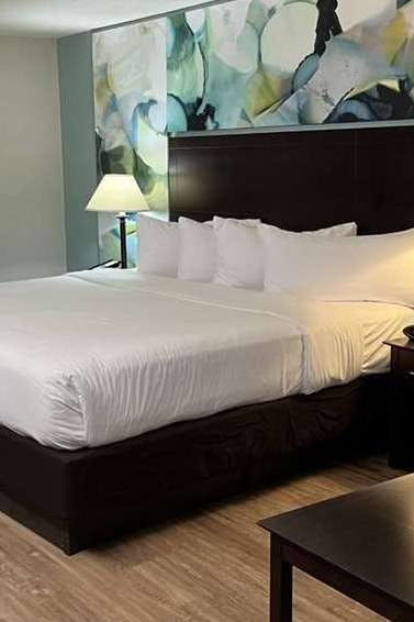 Hotel Wyndham Garden Ann Arbor photo 3