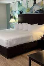 Hotel Wyndham Garden Ann Arbor photo 3