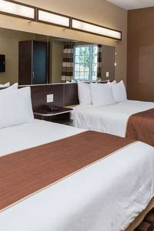 Hotel Microtel Inn & Suites by Wyndham Wheeler Ridge photo 1