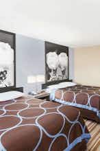 Hotel Super 8 Kingsville photo 1
