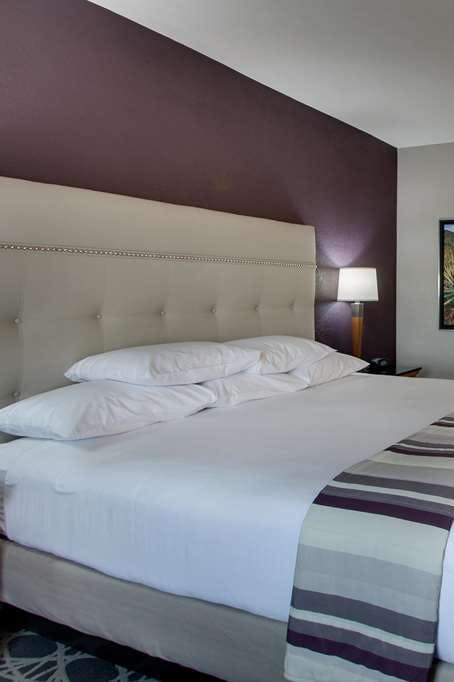 Hotel Drury Inn and Suites Albuquerque North photo 2