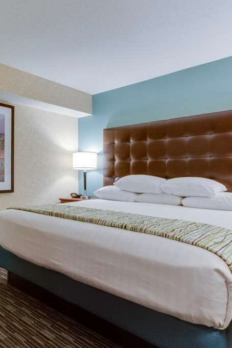 Hotel Drury Inn and Suites Birmingham Grandview photo 1