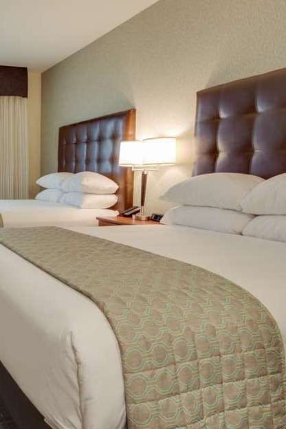 Hotel Drury Plaza Hotel St Louis St Charles photo 1