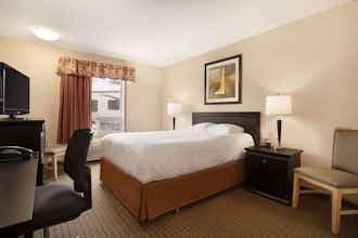 Hotel Super 8 Edmonton Intl Arpt photo 5